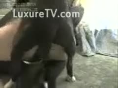 A K9 and an outrageous elder harlot are featured in a recently recorded beastiality sex movie session.
